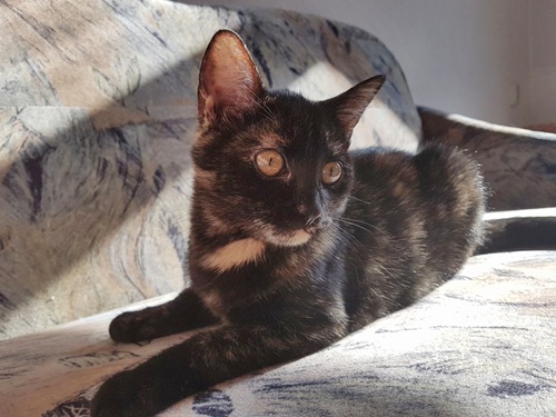 zoe